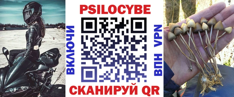 Галлюциногенные грибы Cubensis  Отрадный 
